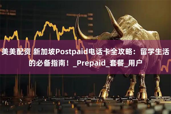 美美配资 新加坡Postpaid电话卡全攻略：留学生活的必备指南！_Prepaid_套餐_用户