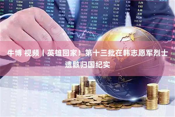 牛博 视频丨英雄回家！第十三批在韩志愿军烈士遗骸归国纪实